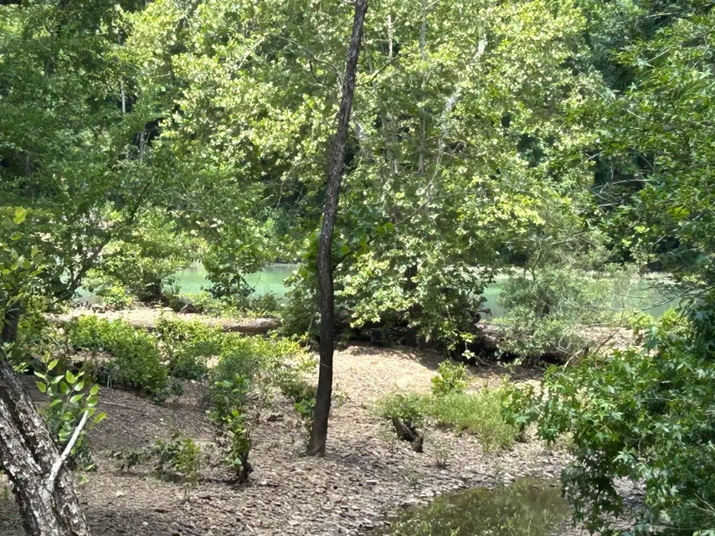 Picture 14