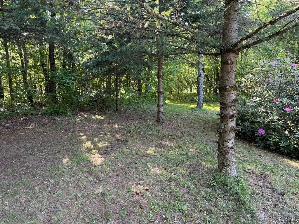 Picture 17