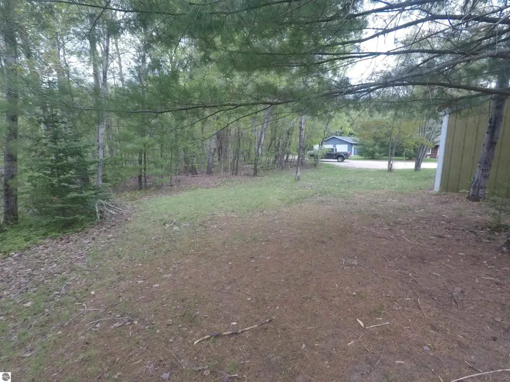 Picture 15