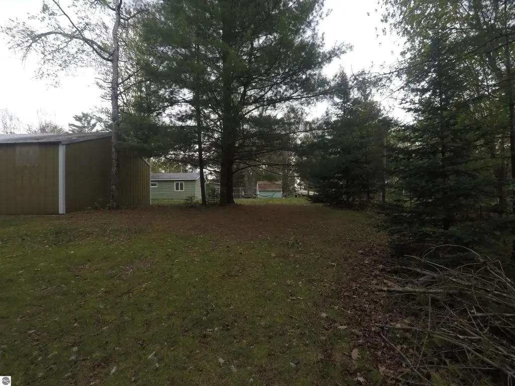 Picture 18