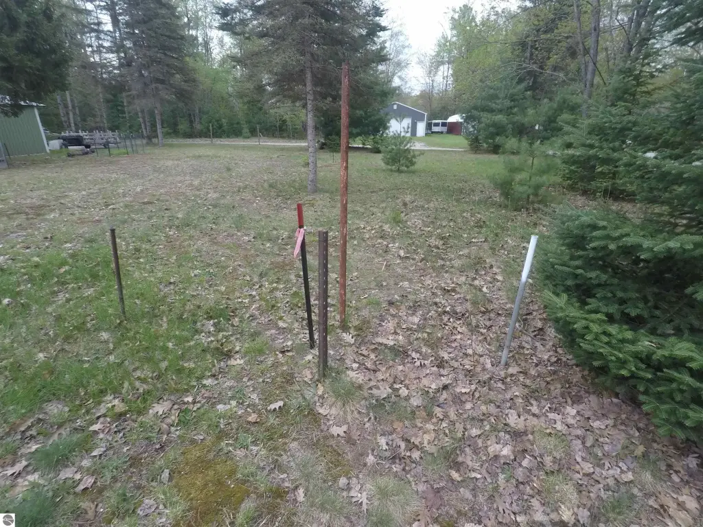 Picture 13