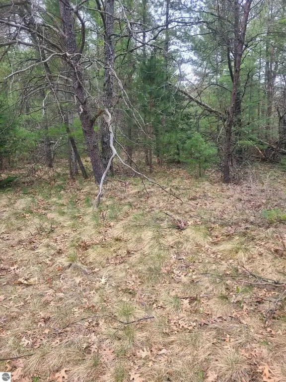 Picture 4