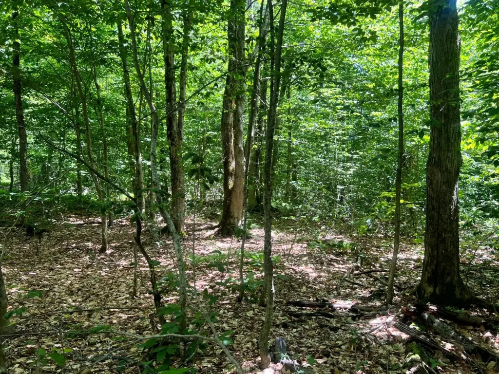 Picture 3