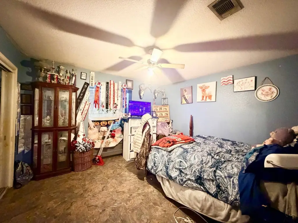 Picture 24