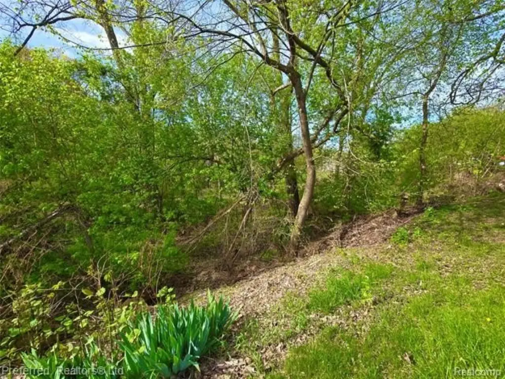 Picture 4