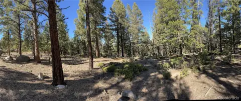 Wooded Lot in Game Trail