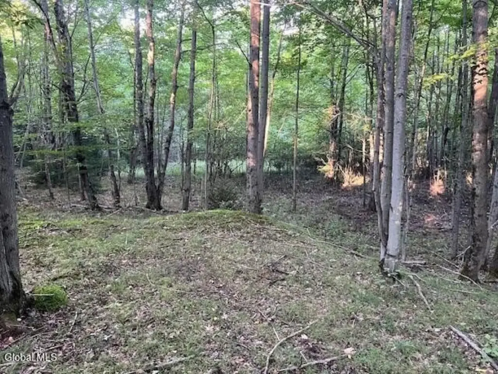 Picture 16