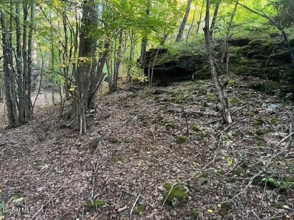 Picture 8