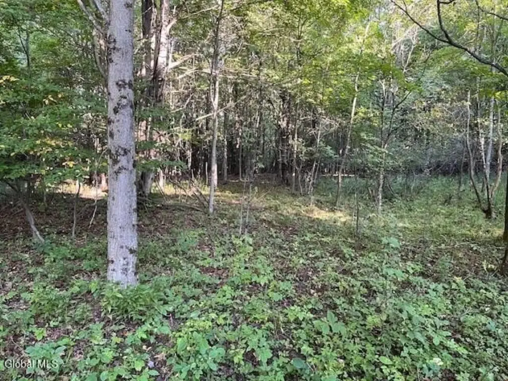 Picture 25