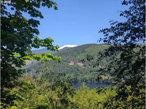 20 Acres Mountain Recreation Land