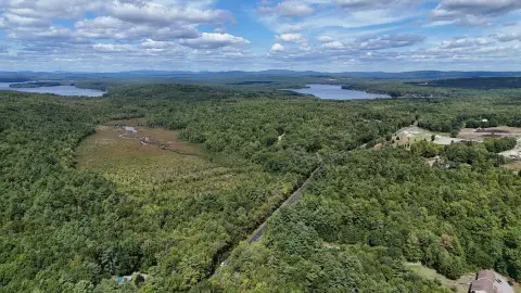 Maine Woodland Opportunity in Poland