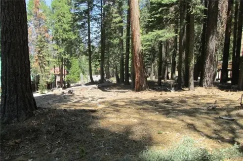 Yosemite Homesite Backing National Park