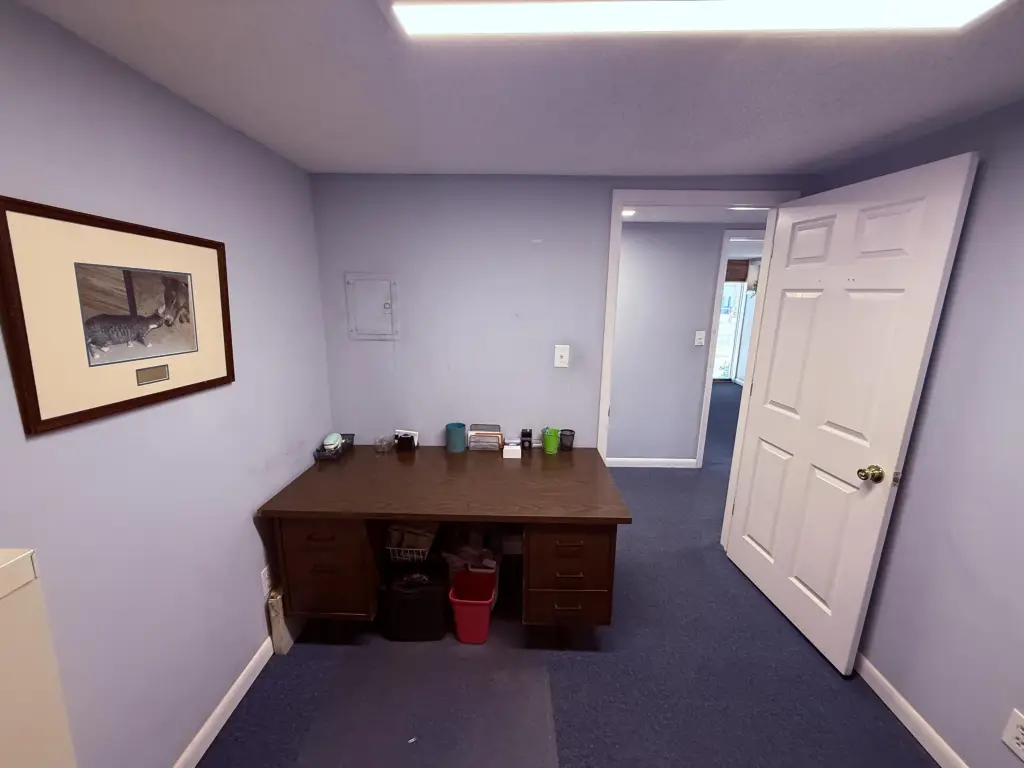 Picture 17