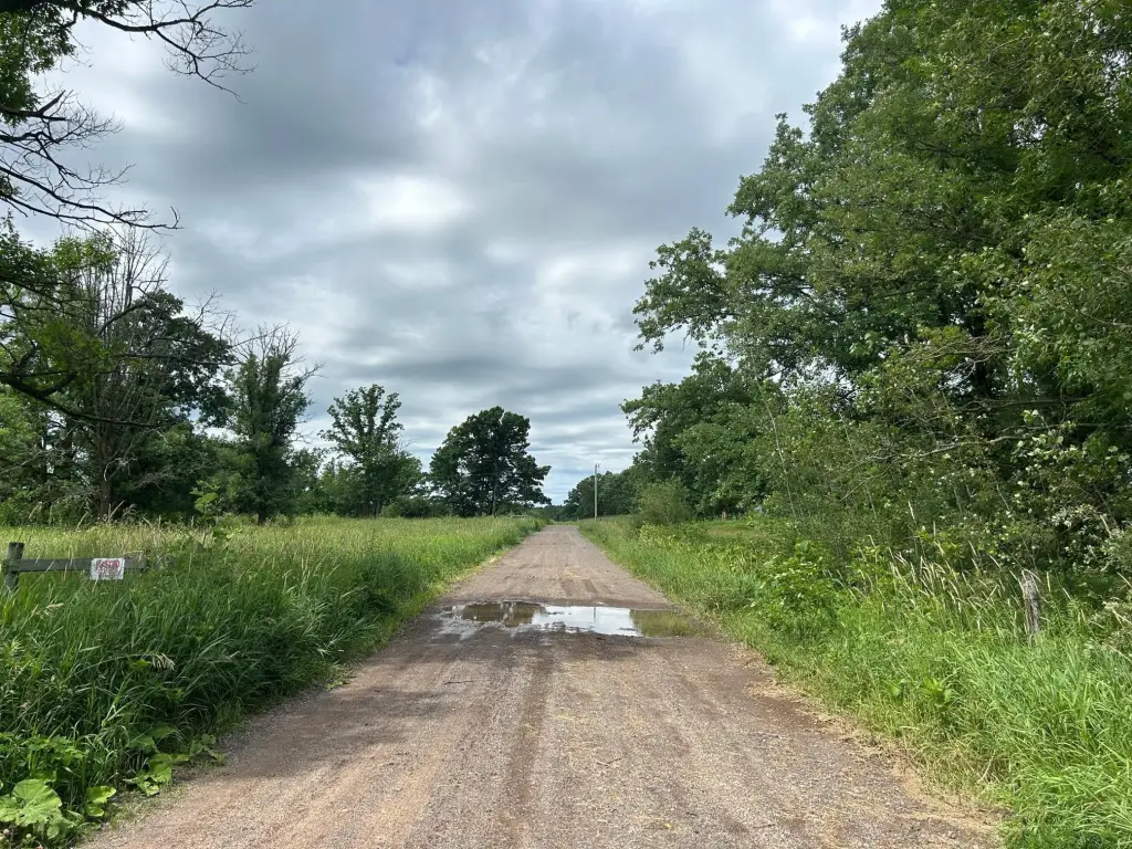 Picture 22