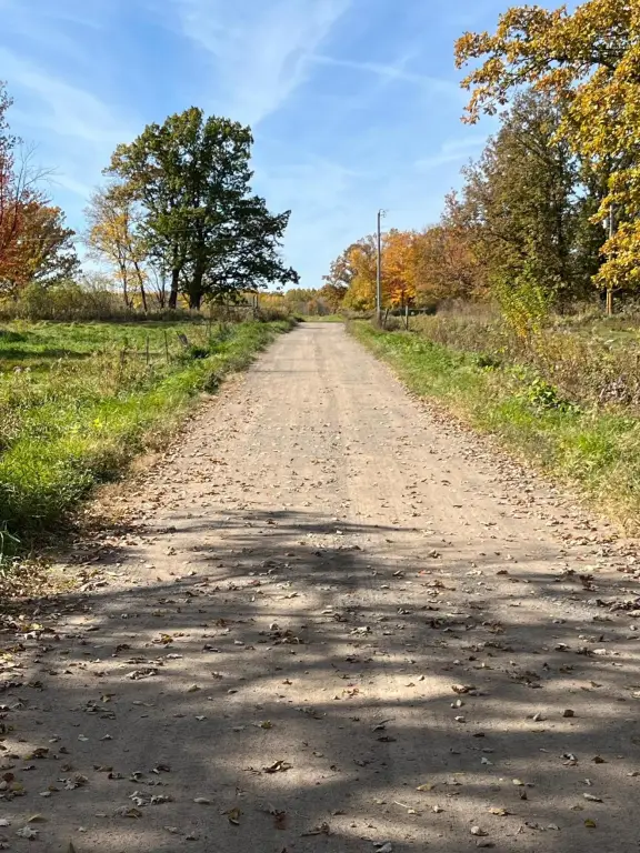 Picture 30