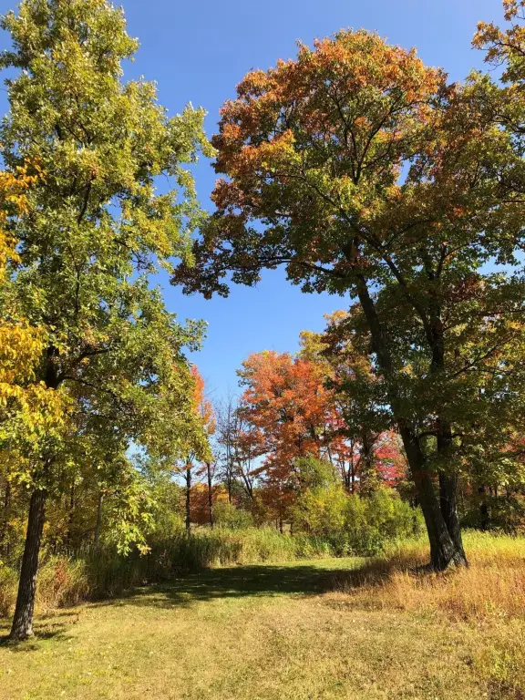 Picture 24