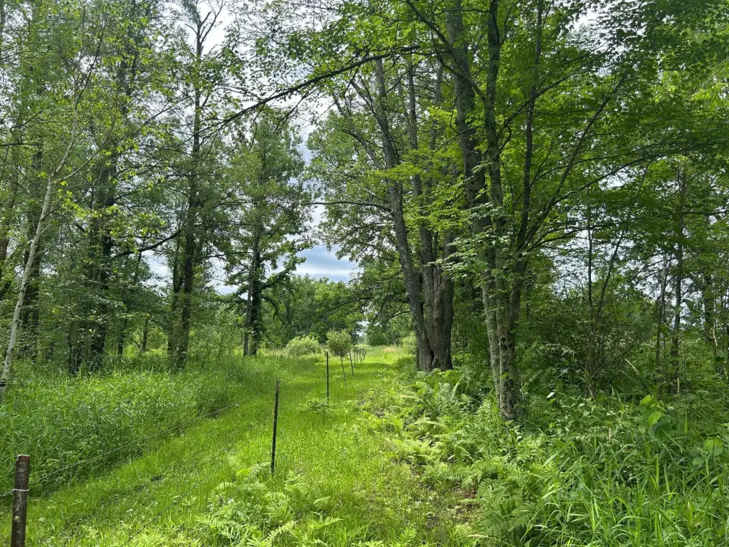Picture 16