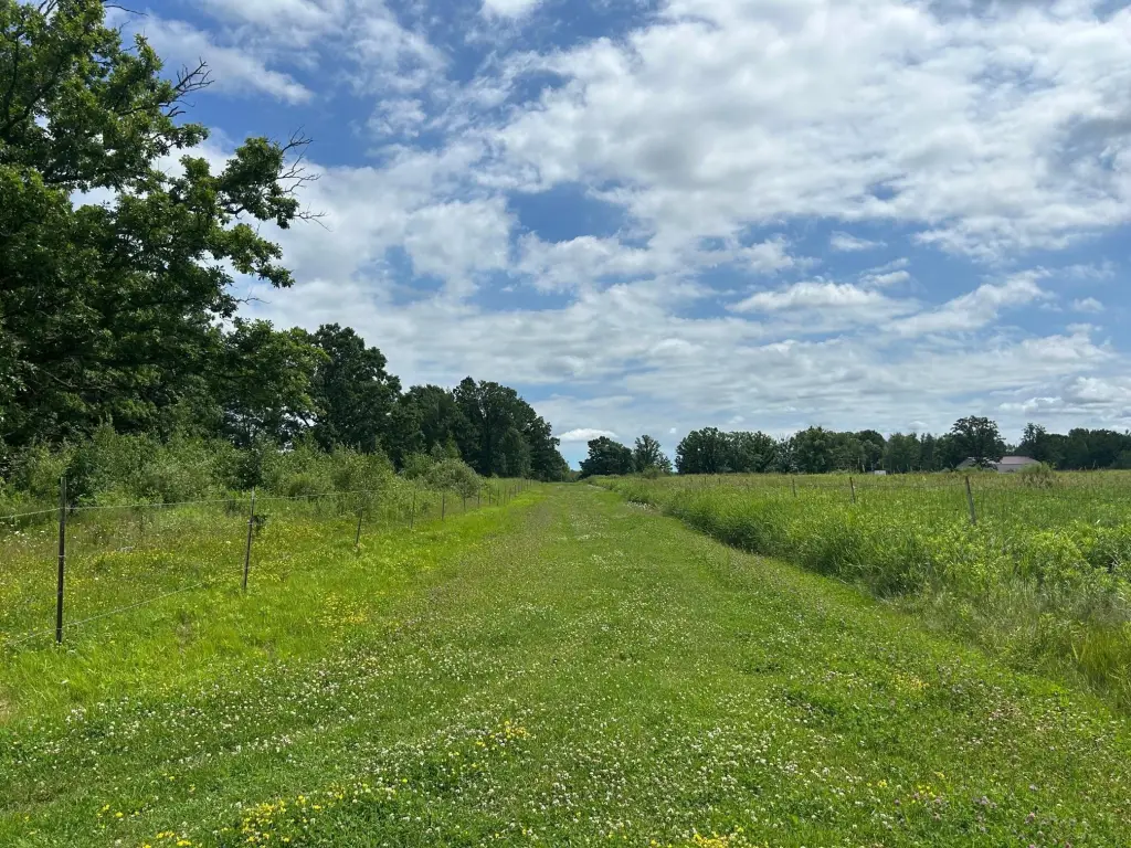 Picture 21