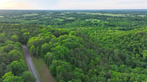 47.2 Acres Near Greenbrier