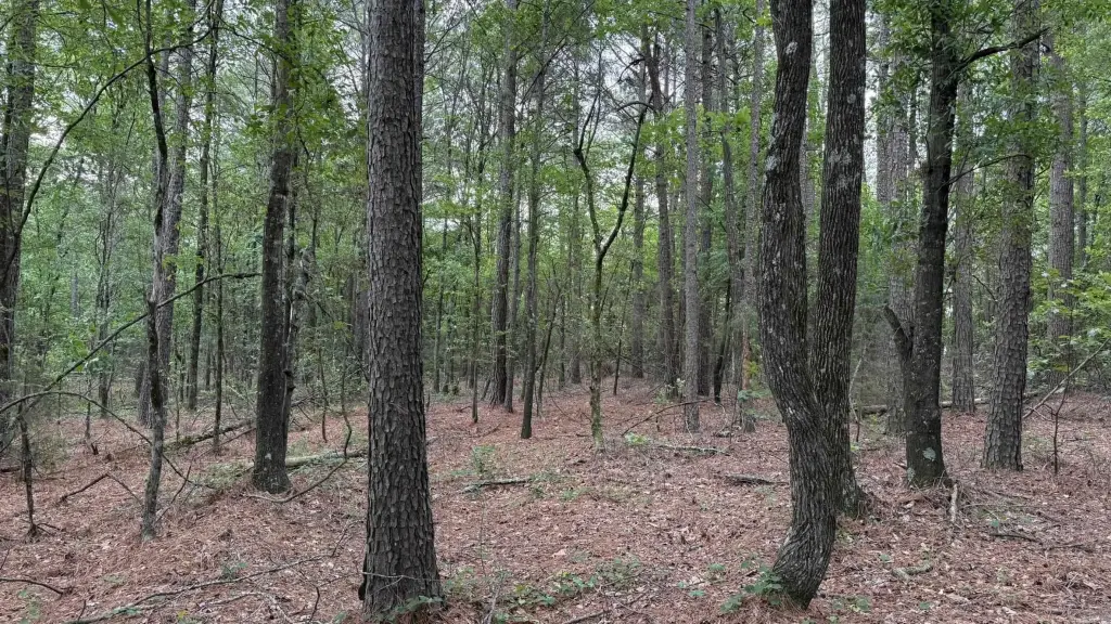 Picture 28