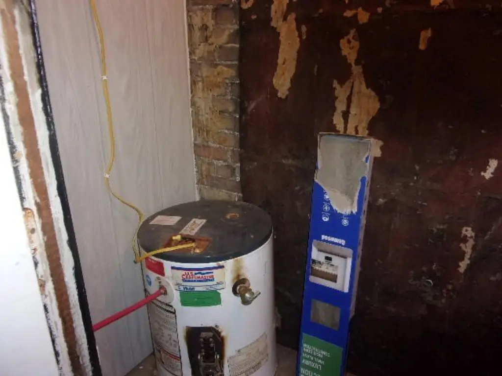 Picture 21