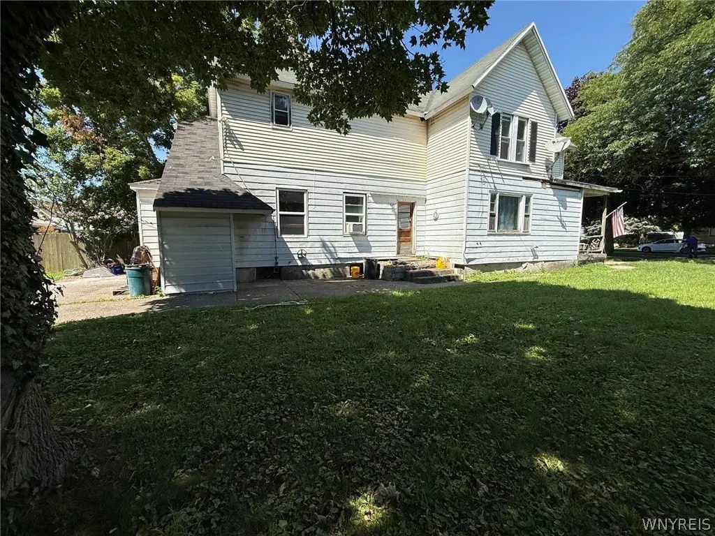 Picture 5
