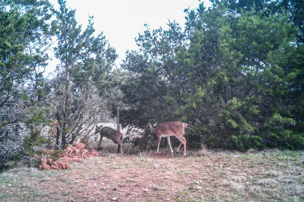Picture 37