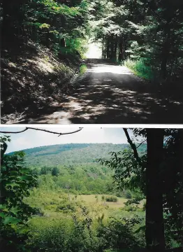 Bradford County Land Investment Opportunity