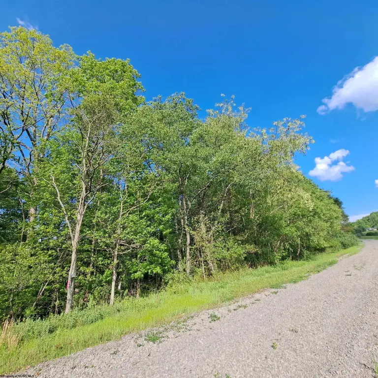 Picture 7