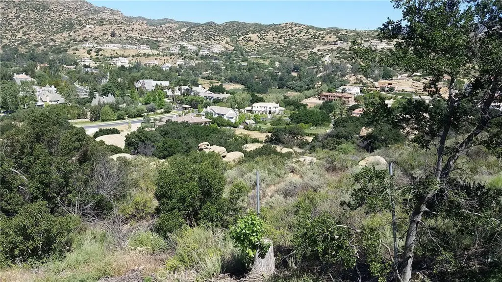 Picture 15