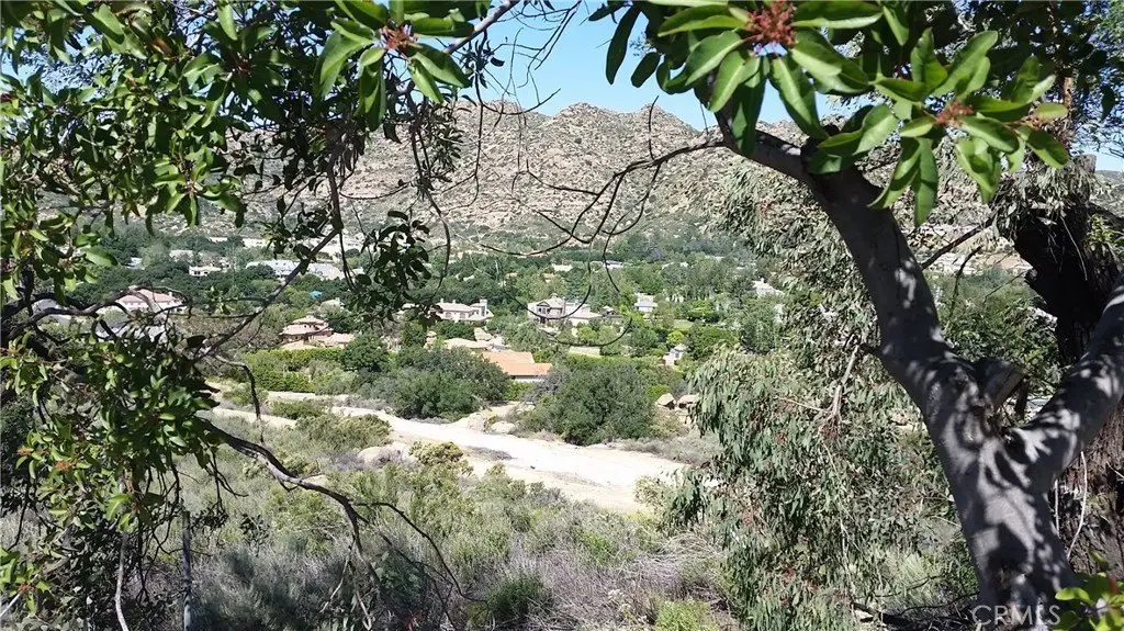 Picture 11