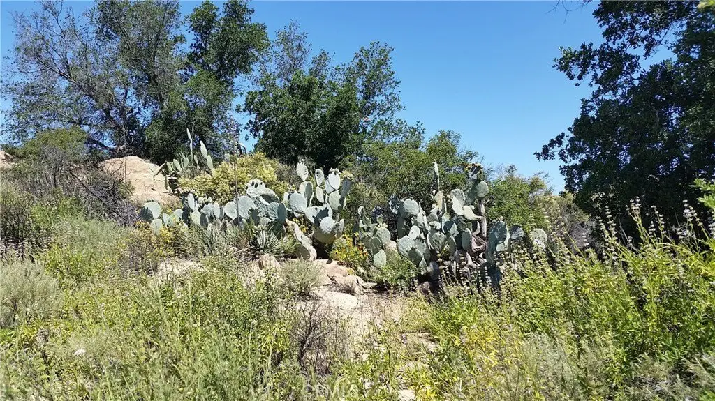 Picture 31