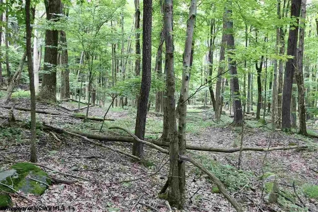 Picture 18