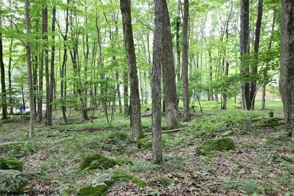Picture 20