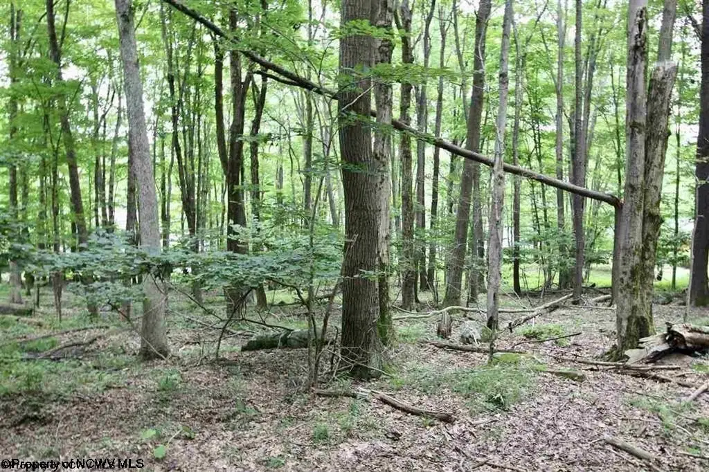 Picture 14