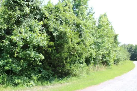 South Boston Land for Sale