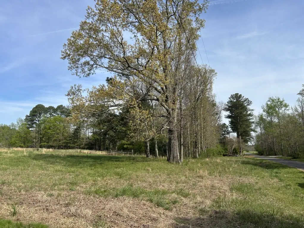 Picture 25