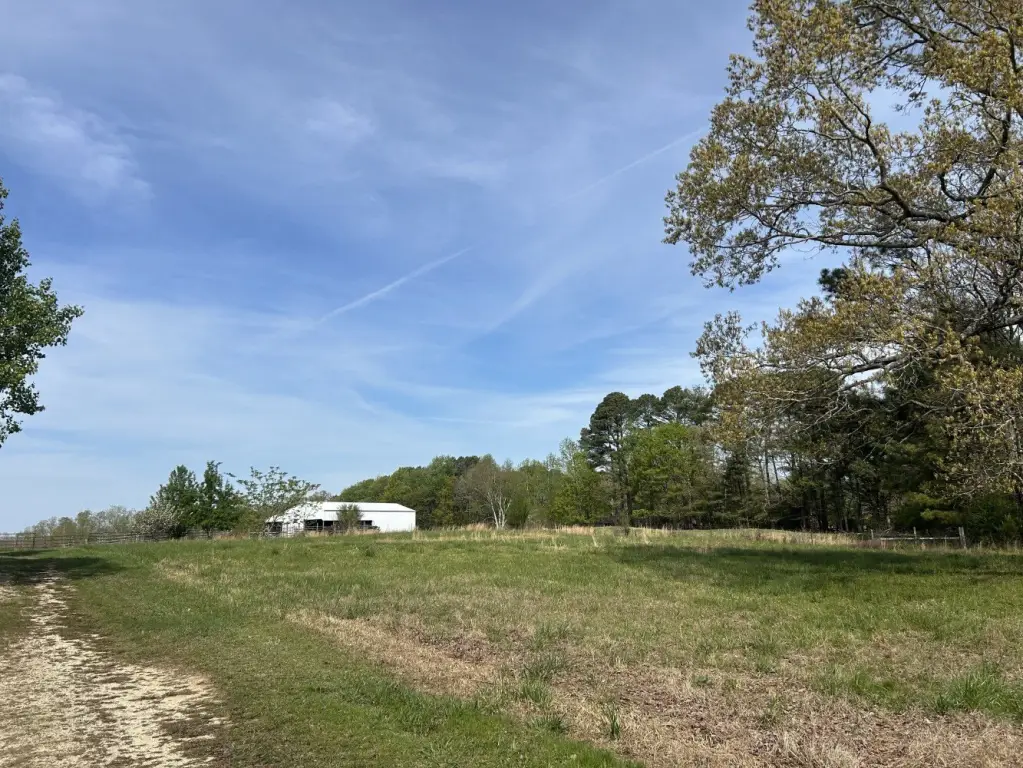 Picture 26