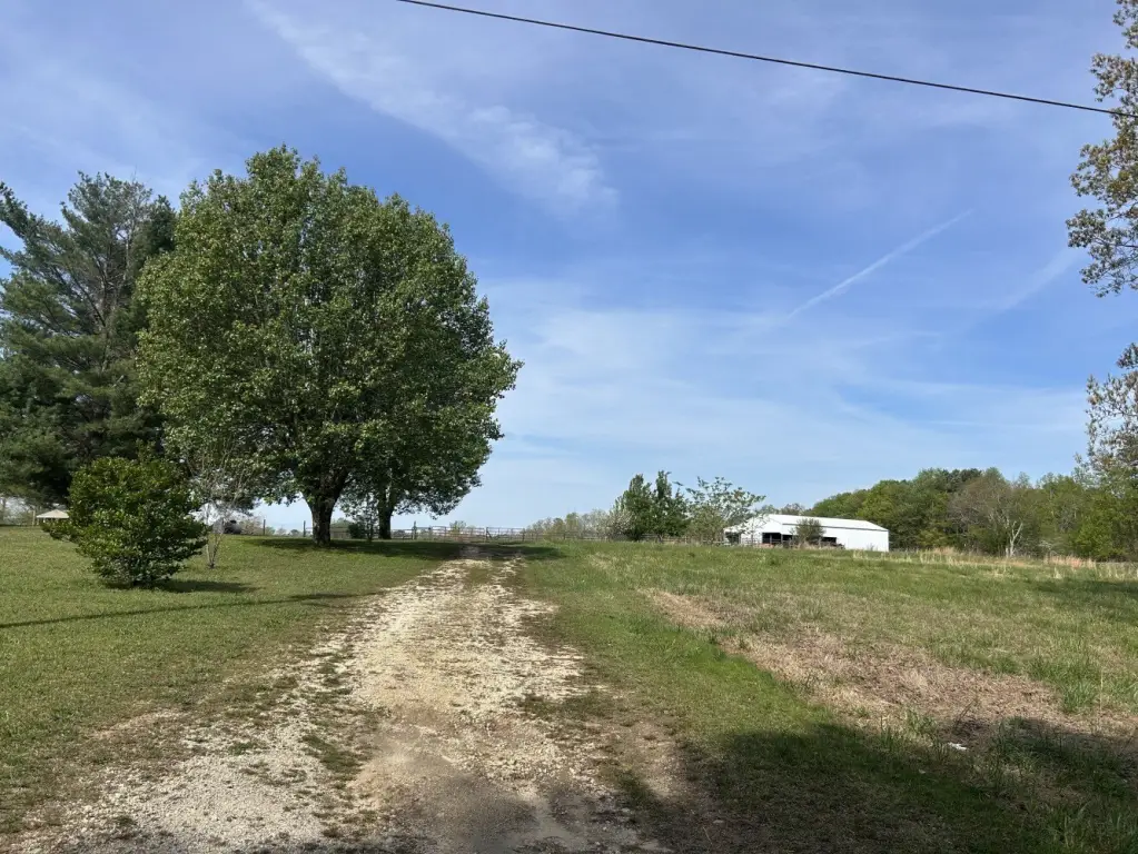 Picture 24