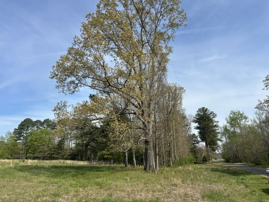 Picture 14
