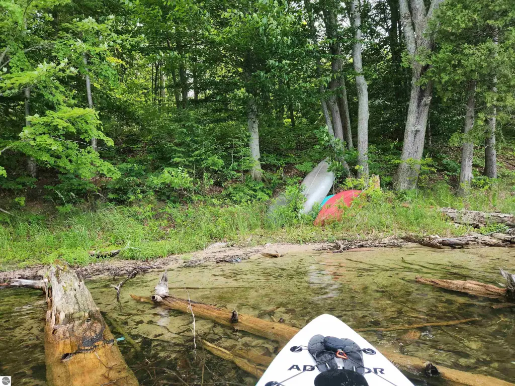 Picture 7