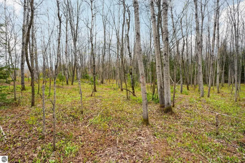 Picture 63