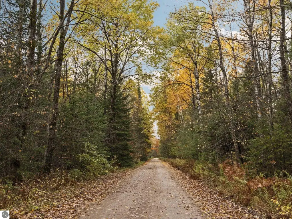 Picture 25