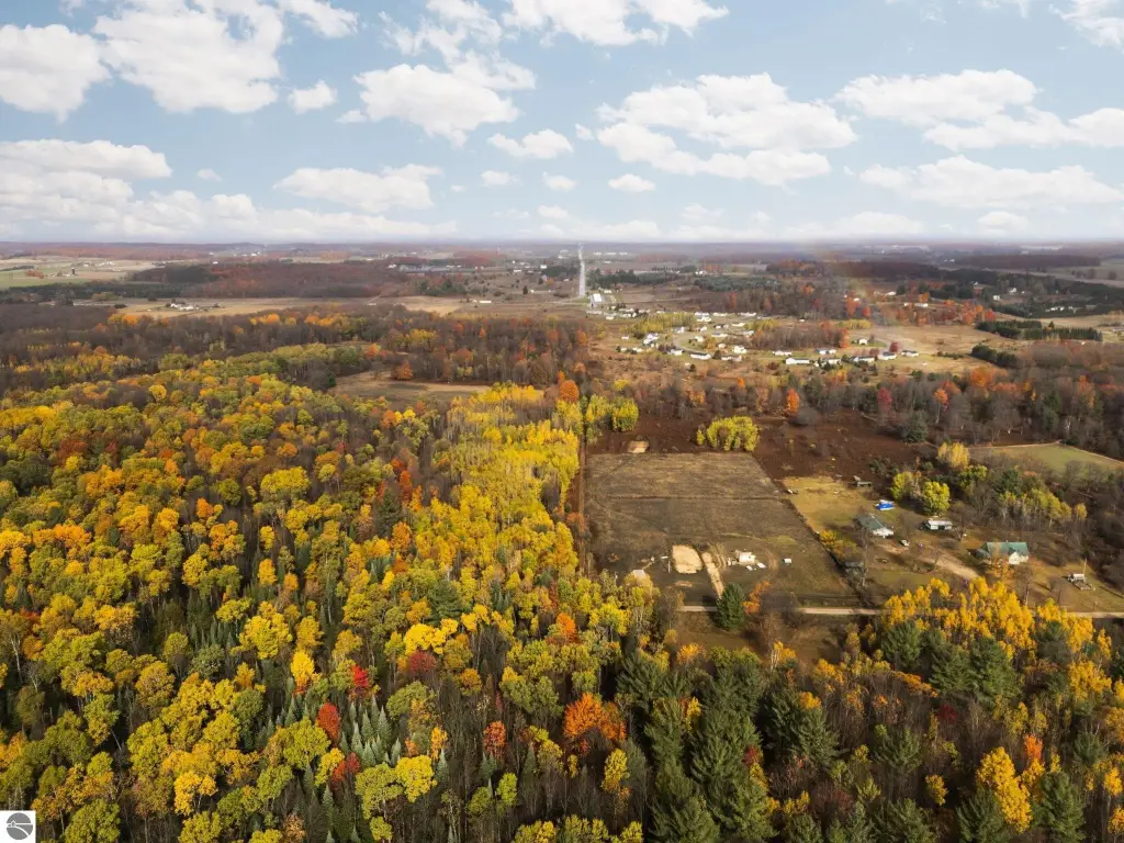 Picture 46