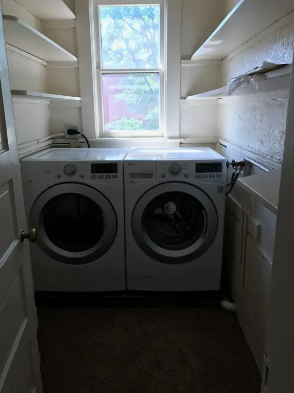 Picture 19