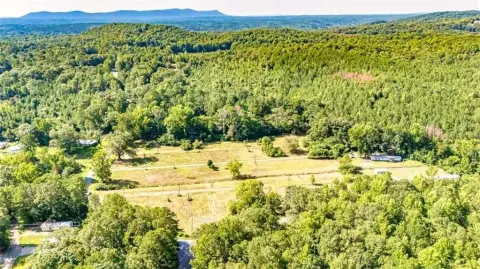 38 Acres in Talladega, AL