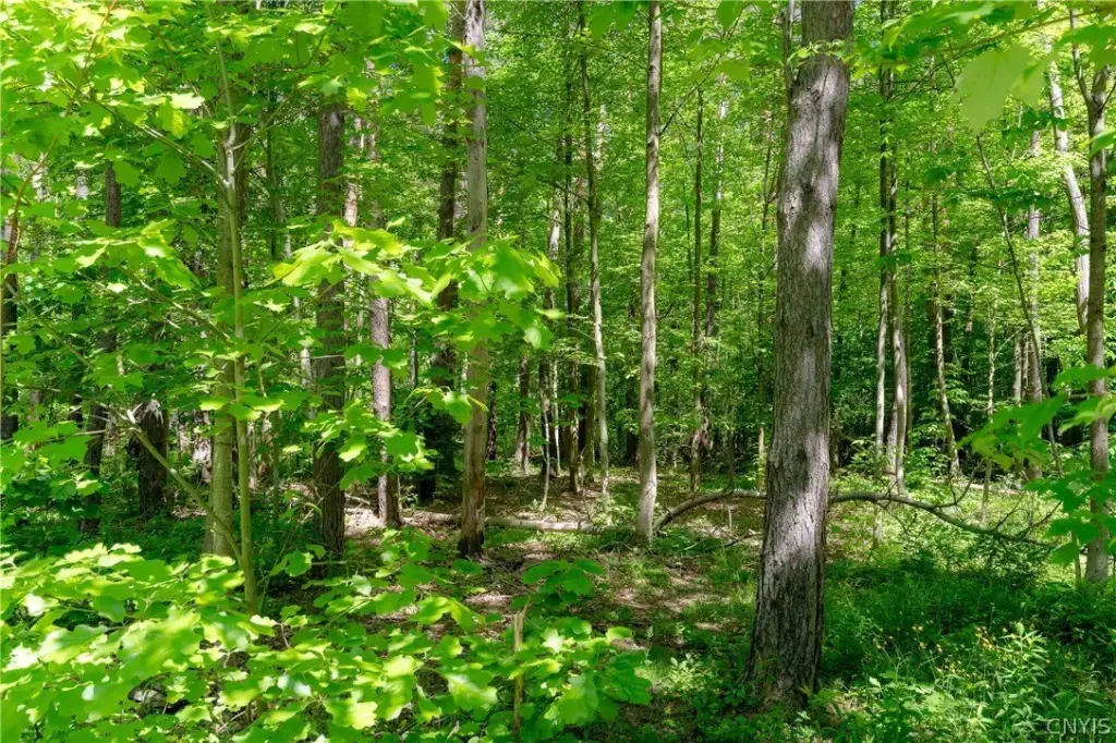 Picture 16