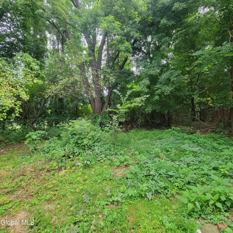 Picture 5