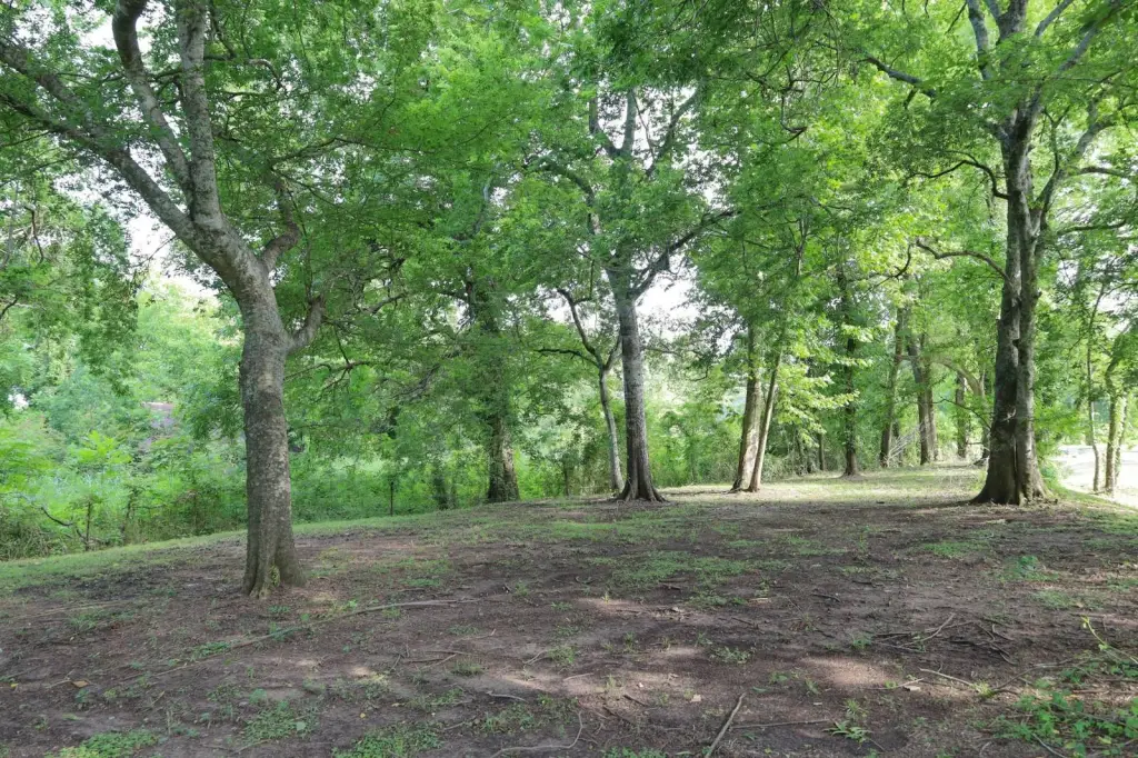 Picture 19