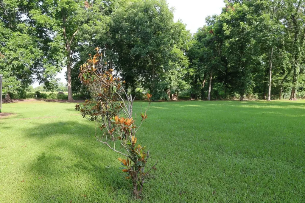 Picture 23